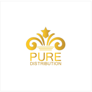 Logo Design by SHAH 101 for Proaudio Consulting Srl | Design #23122346