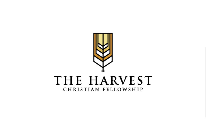 Logo Design by logoQ for this project | Design #23117378