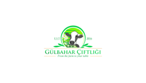 Design de Logo par DoMadic pour ce projet | Design : #23202797