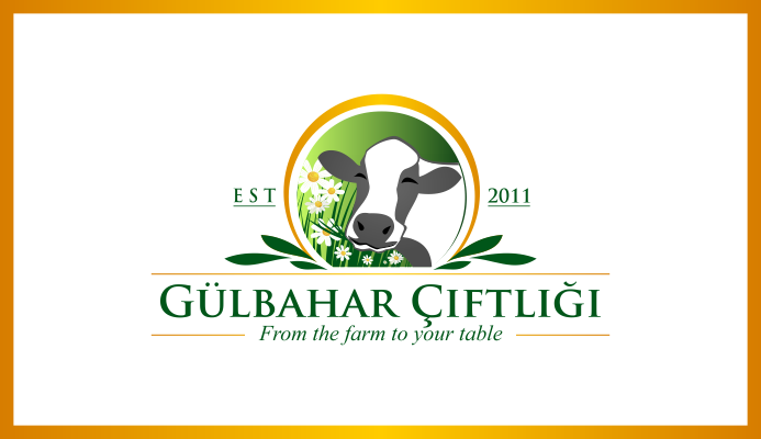 Logo Design by DoMadic for this project | Design #23285321