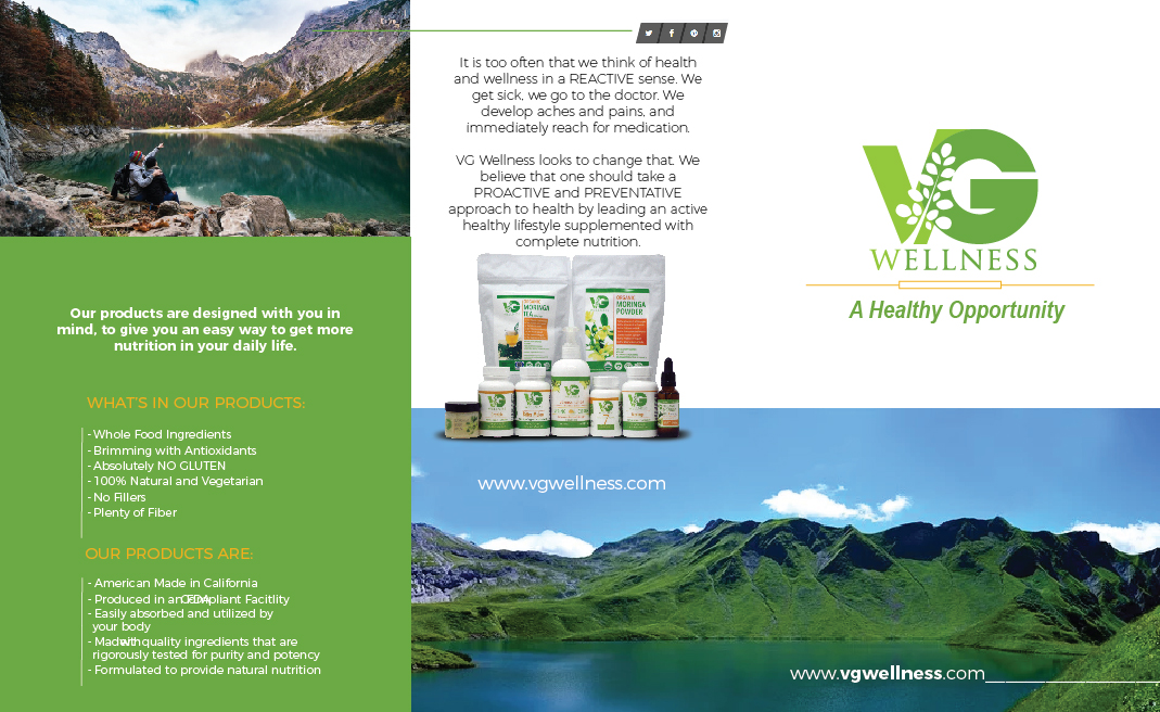 Diseño de Flyer por Sarina.dsg para VG Wellness LLC | Diseño #23080974