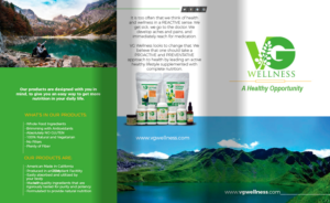 Flyer Design by Sarina.dsg for VG Wellness LLC | Design: #23080989