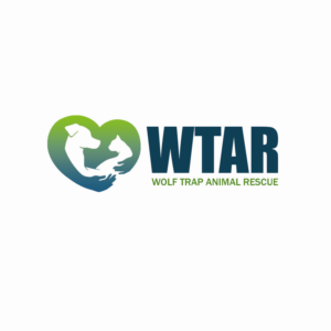 Logo Design by numzee 2