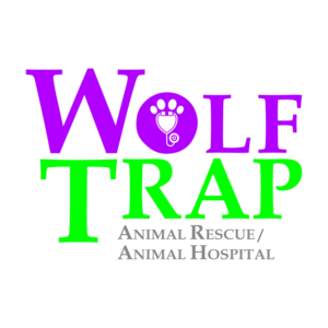 Logo Design by Nicolene Barnard for this project | Design: #23112806