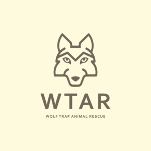 Logo Design by FZADesigner