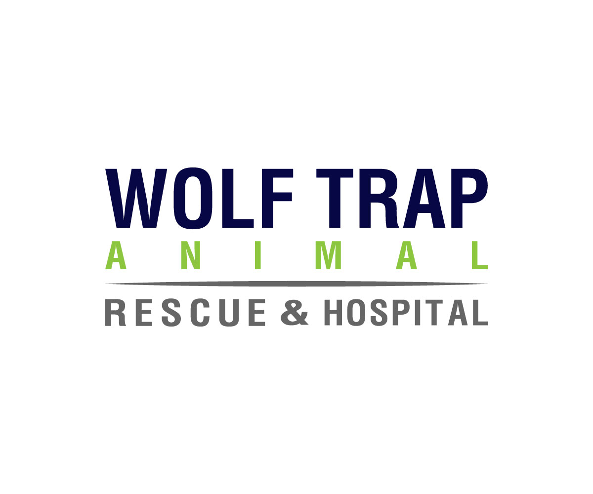 Logo Design by Sienna Miller for this project | Design #23080929