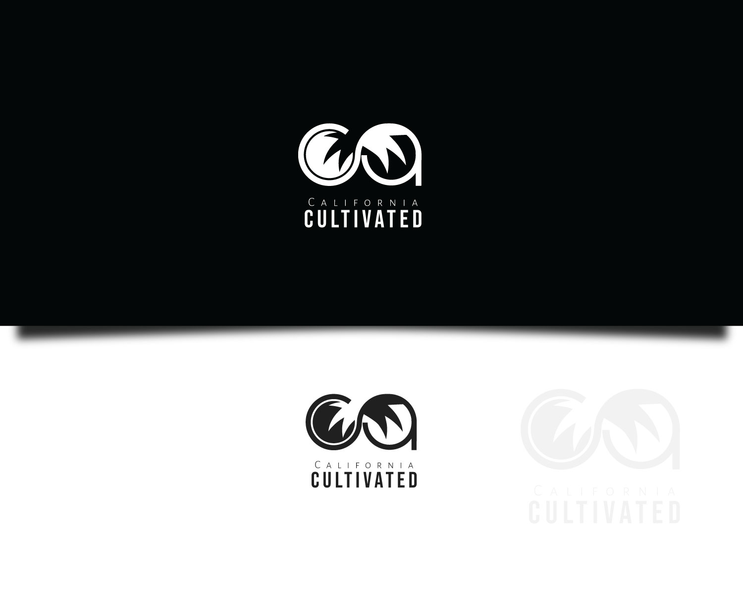 Diseño de Logo por titanium wings para este proyecto | Diseño #23129779