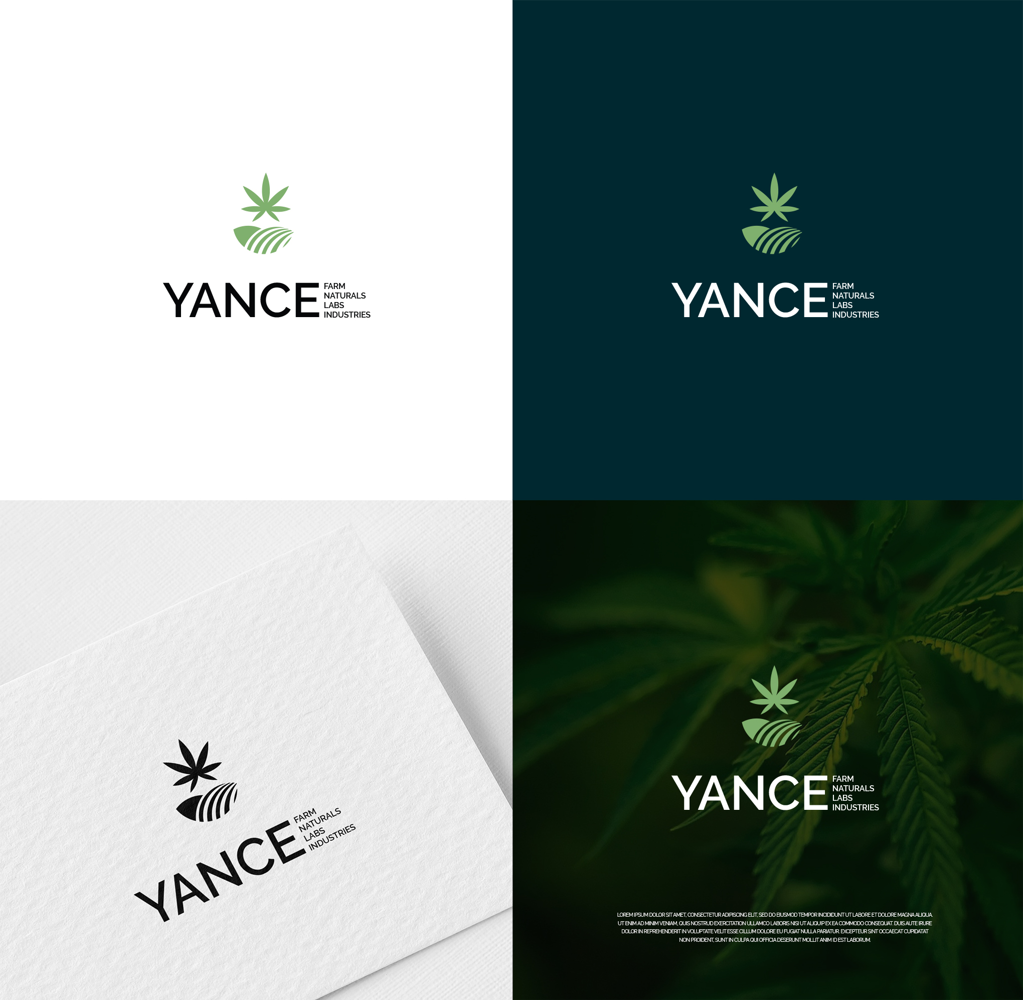 Logo-Design von Alex Petersen für dieses Projekt | Design #23090641