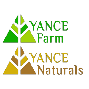 Logo Design by BronsonRay for this project | Design #23088442