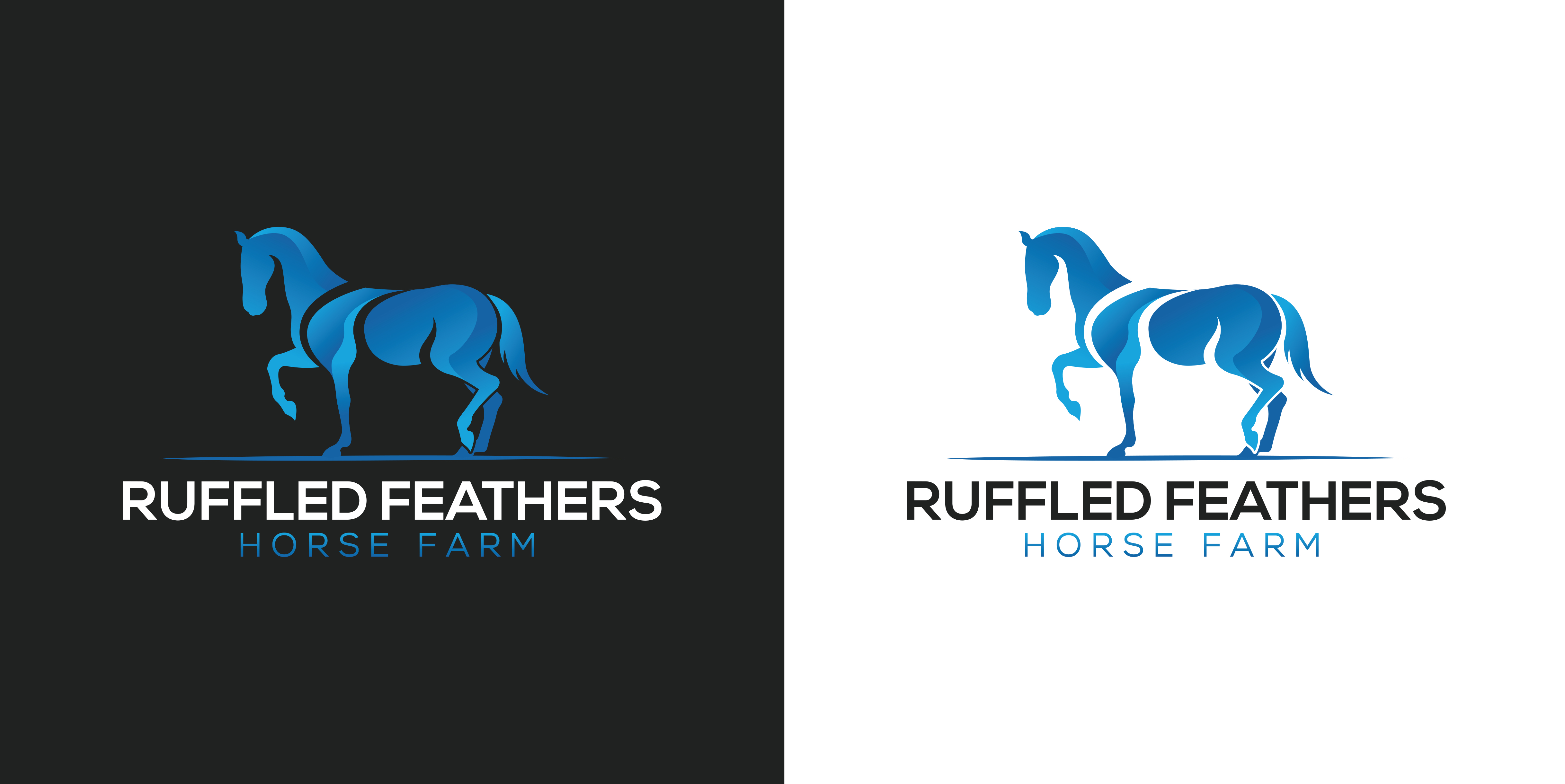Logo Design by jdboehne for this project | Design #23104770