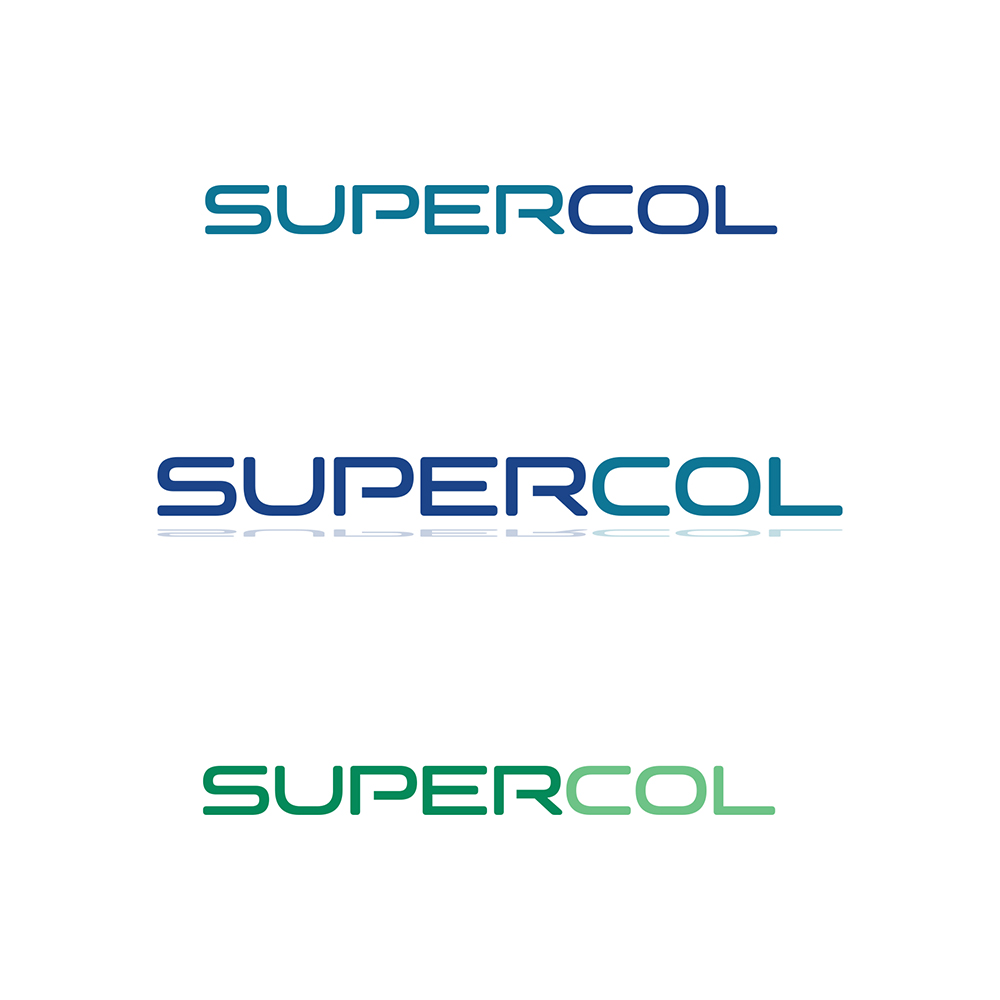 Logo Design by IdentsArt for this project | Design #23095298