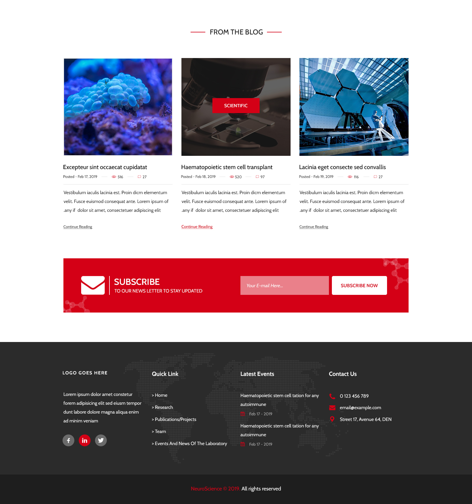 Web Design by Starto Agency for R Software | Design #23107725