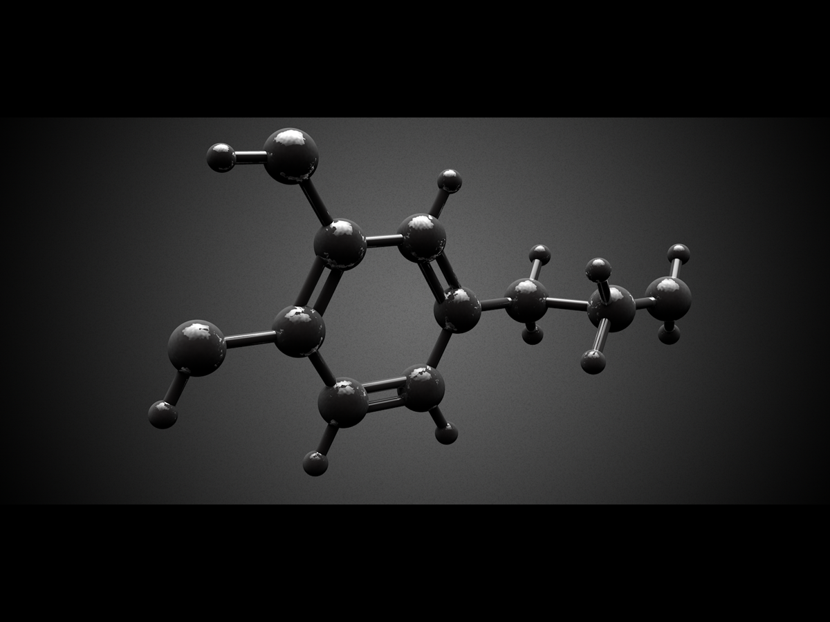 Grafik-Design von Candle Light Designs für dieses Projekt | Design #23110591