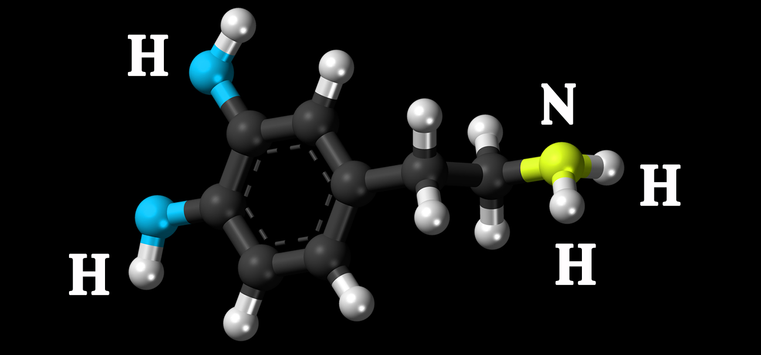 Graphic Design by Arghish 3 for this project | Design #23126938