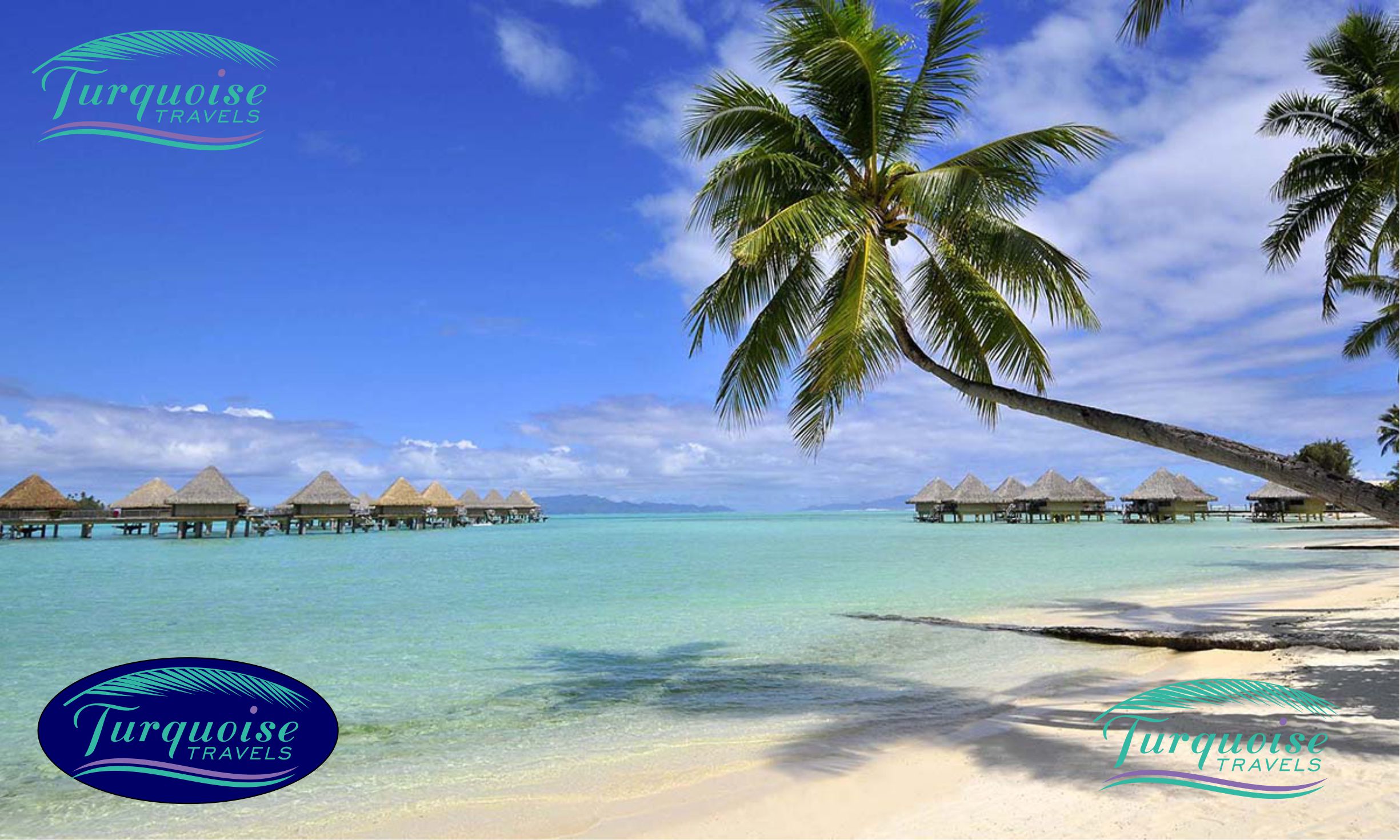 Logo Design by vkhoruzhenko for this project | Design #23207733