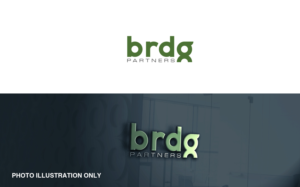 brdg partners | Logo Design by MT