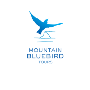 Mountain Bluebird Tours | Logo Design by Samantha Ward Design