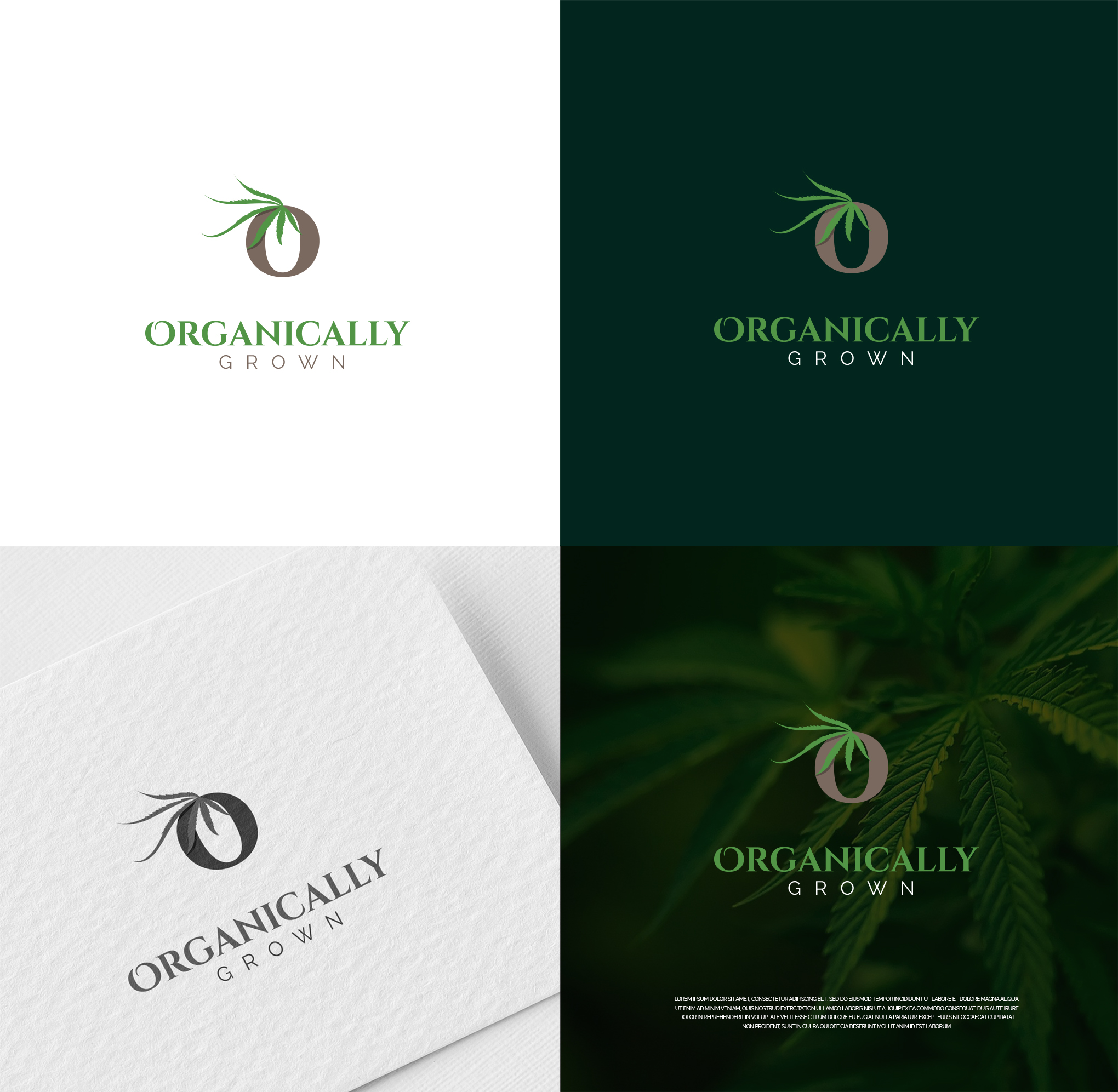 Logo Design by Alex Petersen for this project | Design #23124045