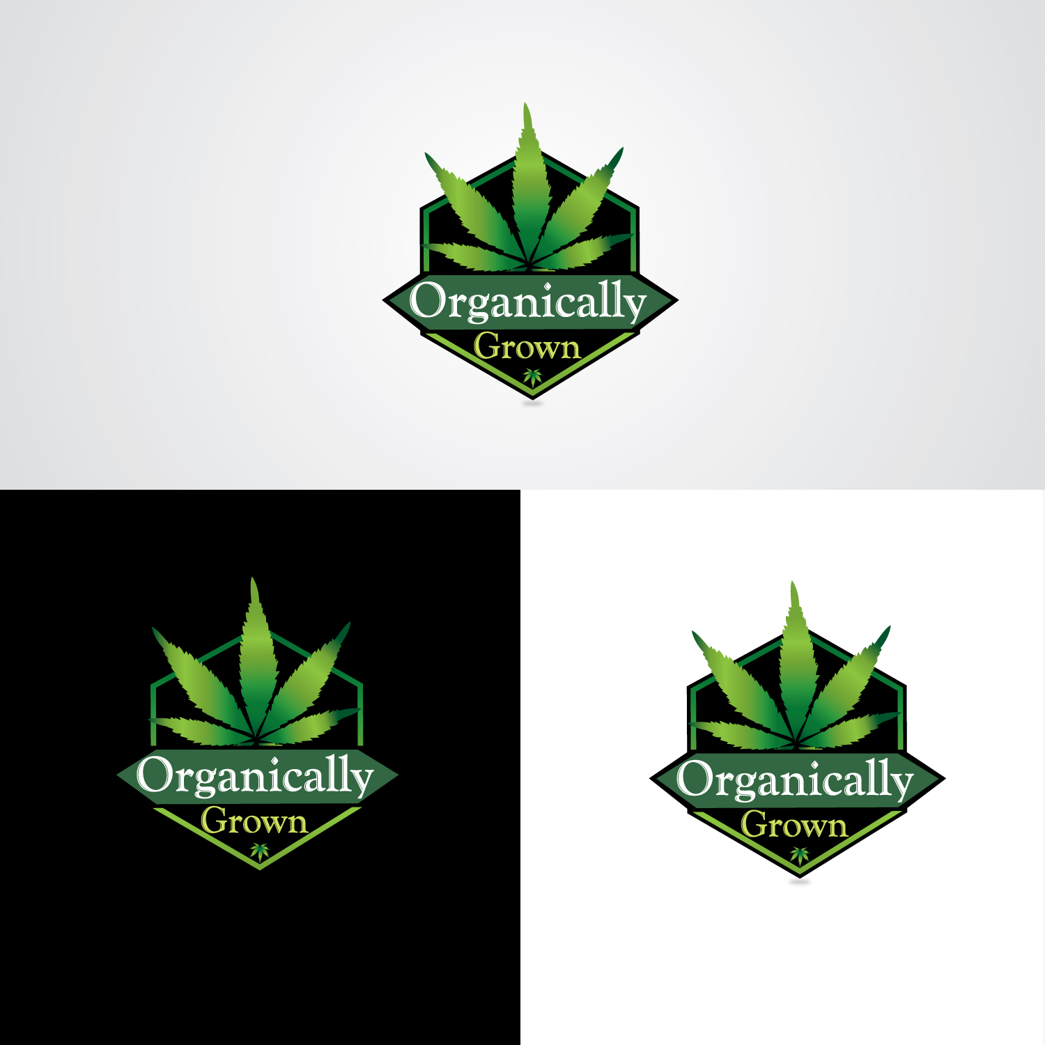 Logo Design by beniwalsuman for this project | Design #23133235