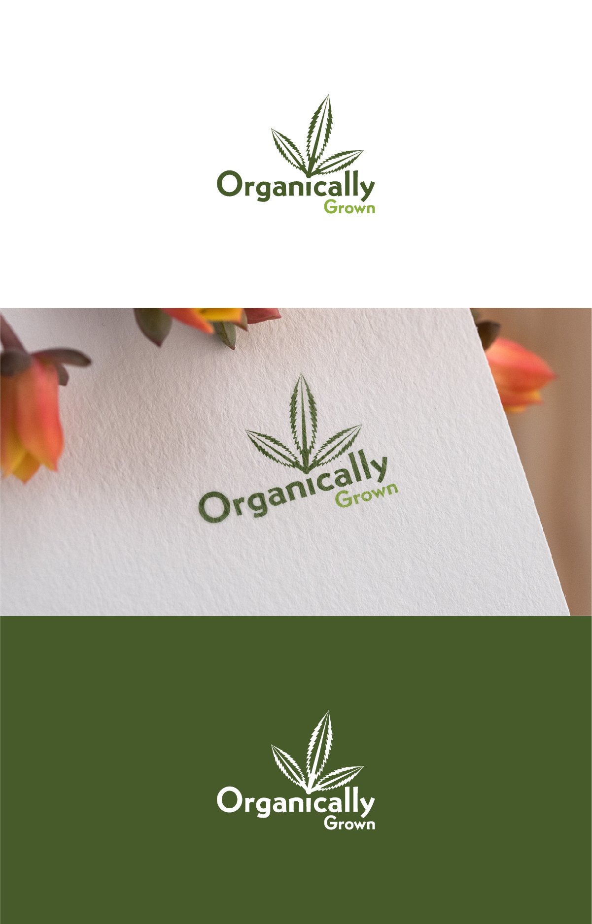 Logo Design by Deziners Zone for this project | Design #23126610