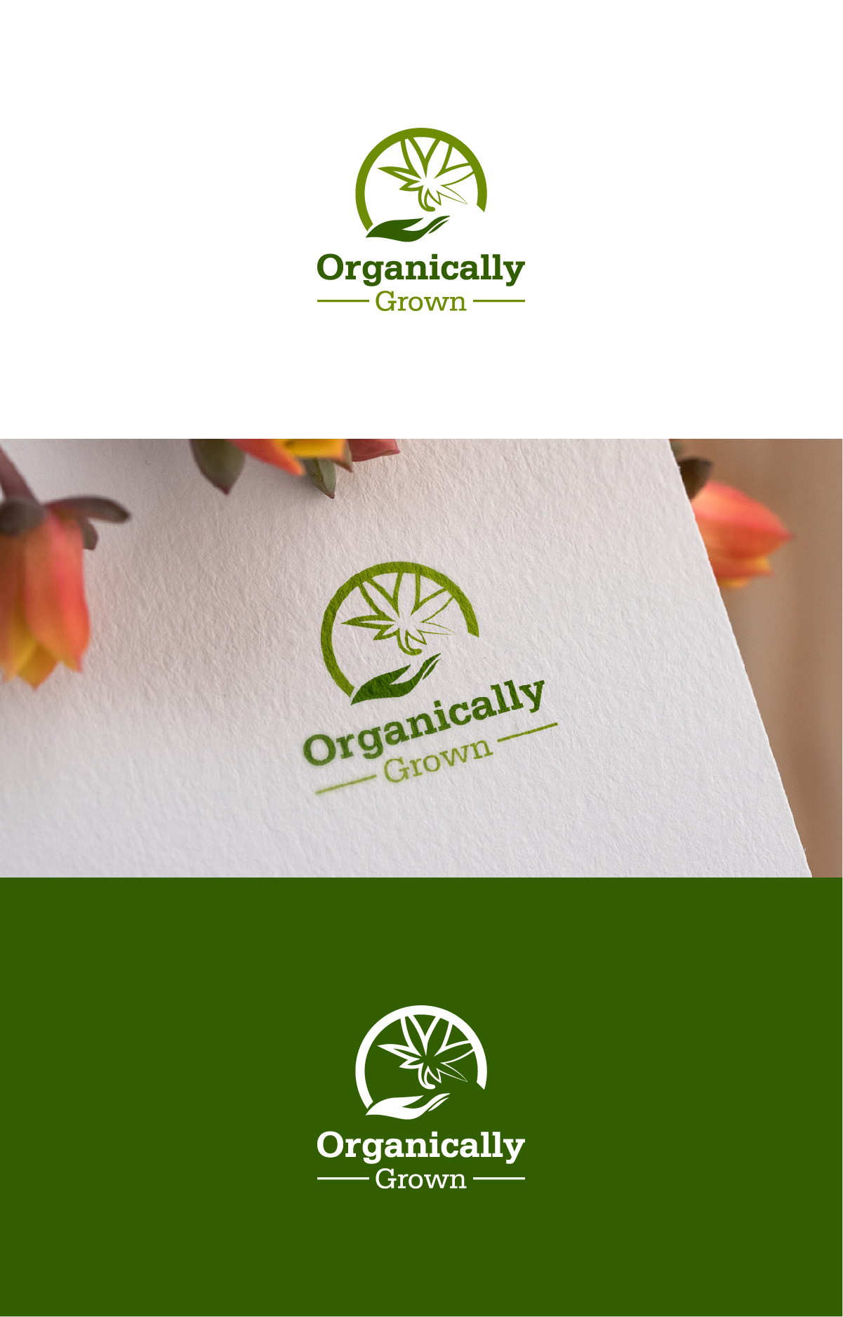 Logo Design by Deziners Zone for this project | Design #23126611