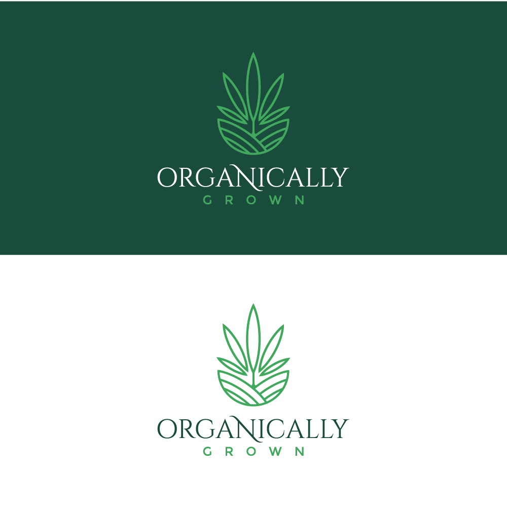 Logo Design by AinebAyoub for this project | Design #23122322