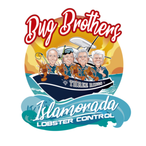 Illustration Design by Gabriel T. Marques for this project | Design: #23202003