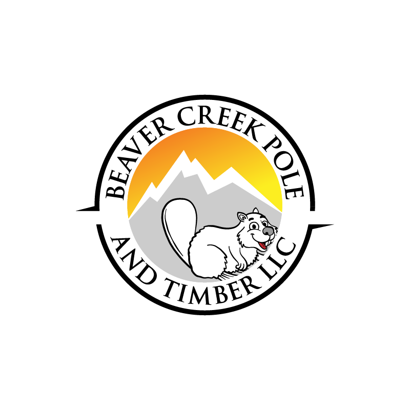Logo Design by arkan for this project | Design #23152905