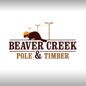 Logo Design by JV3