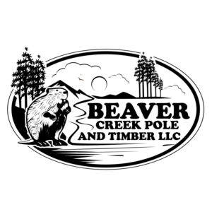 Logo Design by geni for this project | Design #23173223