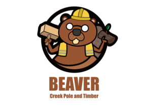 Logo Design by KhadChad 2