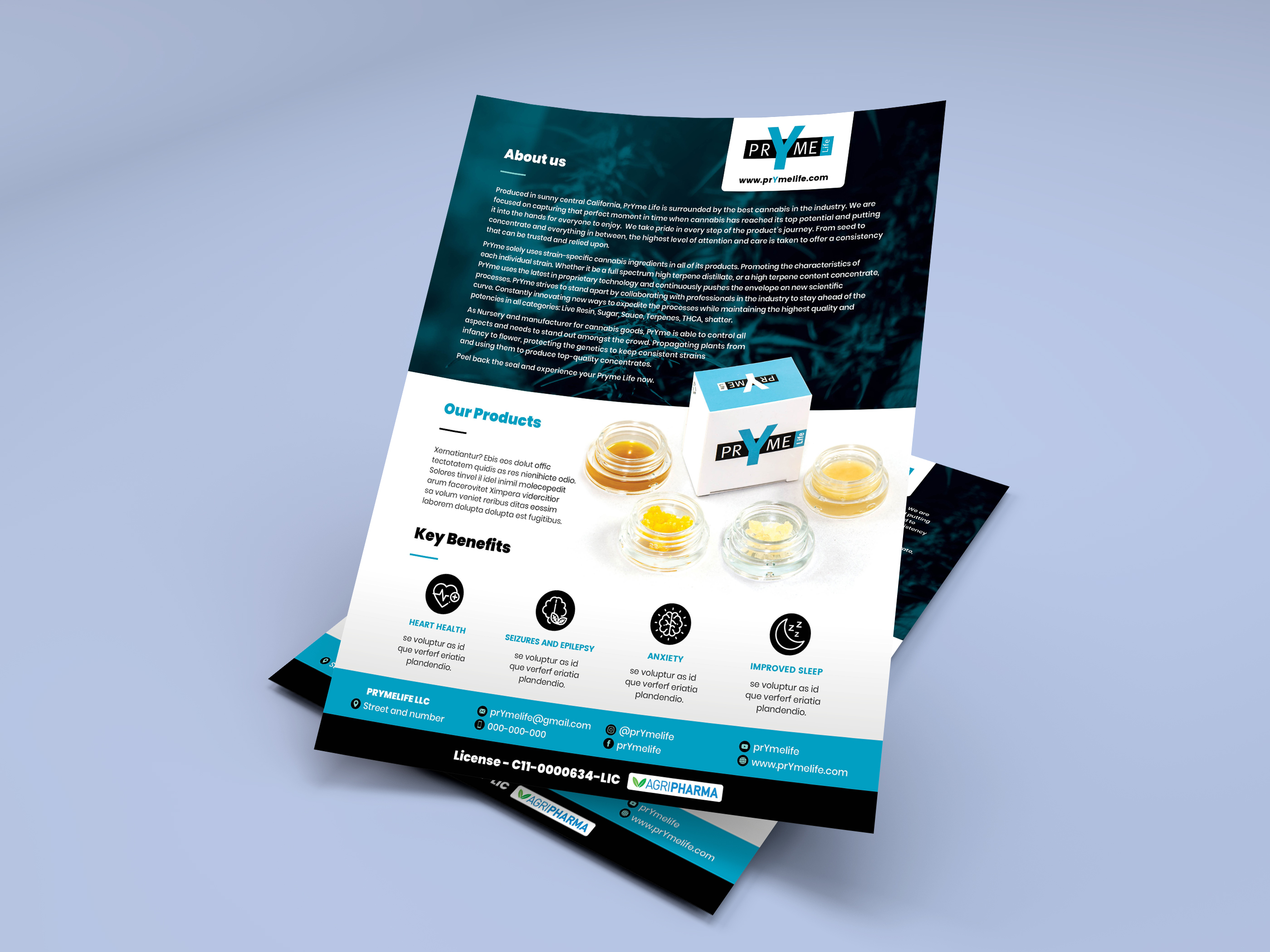 Diseño de Flyer por banedsgn para este proyecto | Diseño #23176087