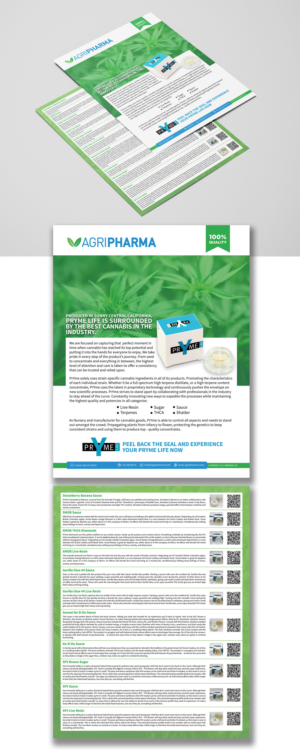 Flyer Design by JanuXart