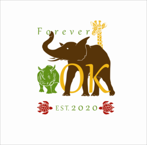 Logo Design by nader Designer