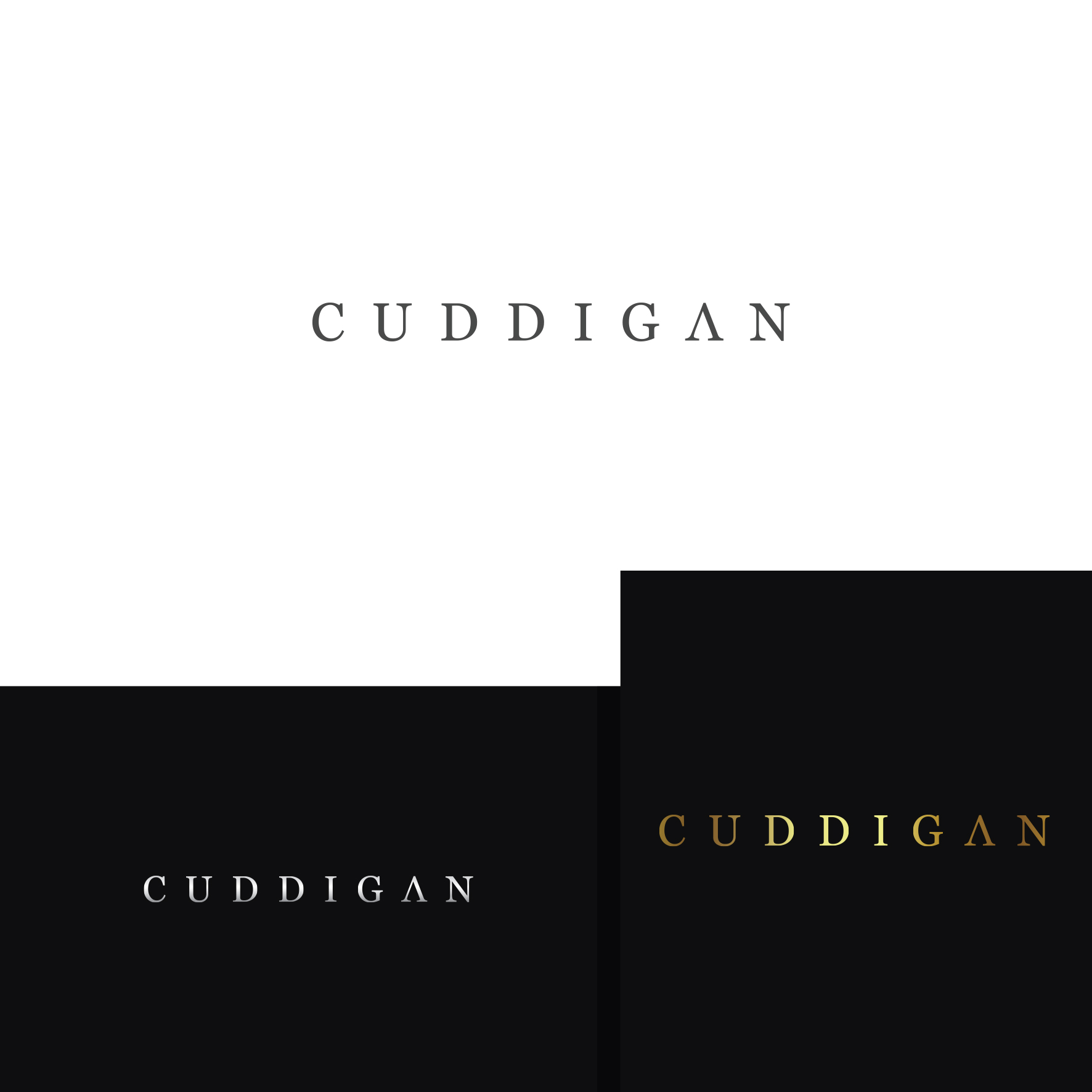 Logo Design by IdentsArt for this project | Design #23164441