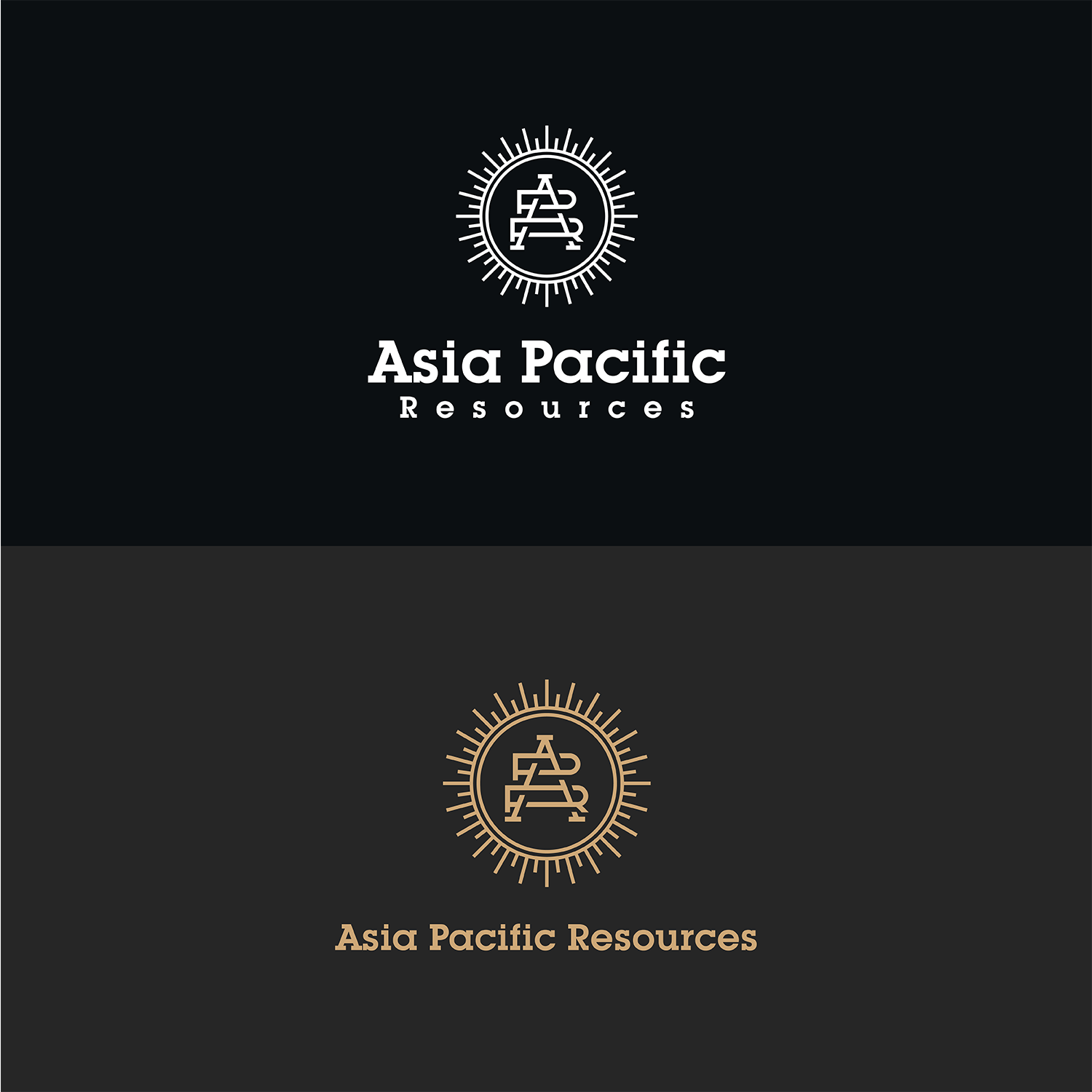 Logo Design by Omee for Asia Pacific Resources Pte Ltd | Design #23185564