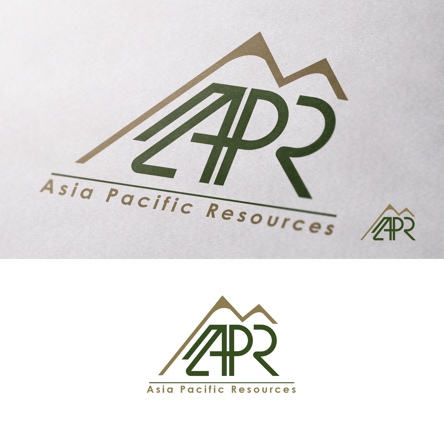 Logo Design by nzdesigners for Asia Pacific Resources Pte Ltd | Design #23197898