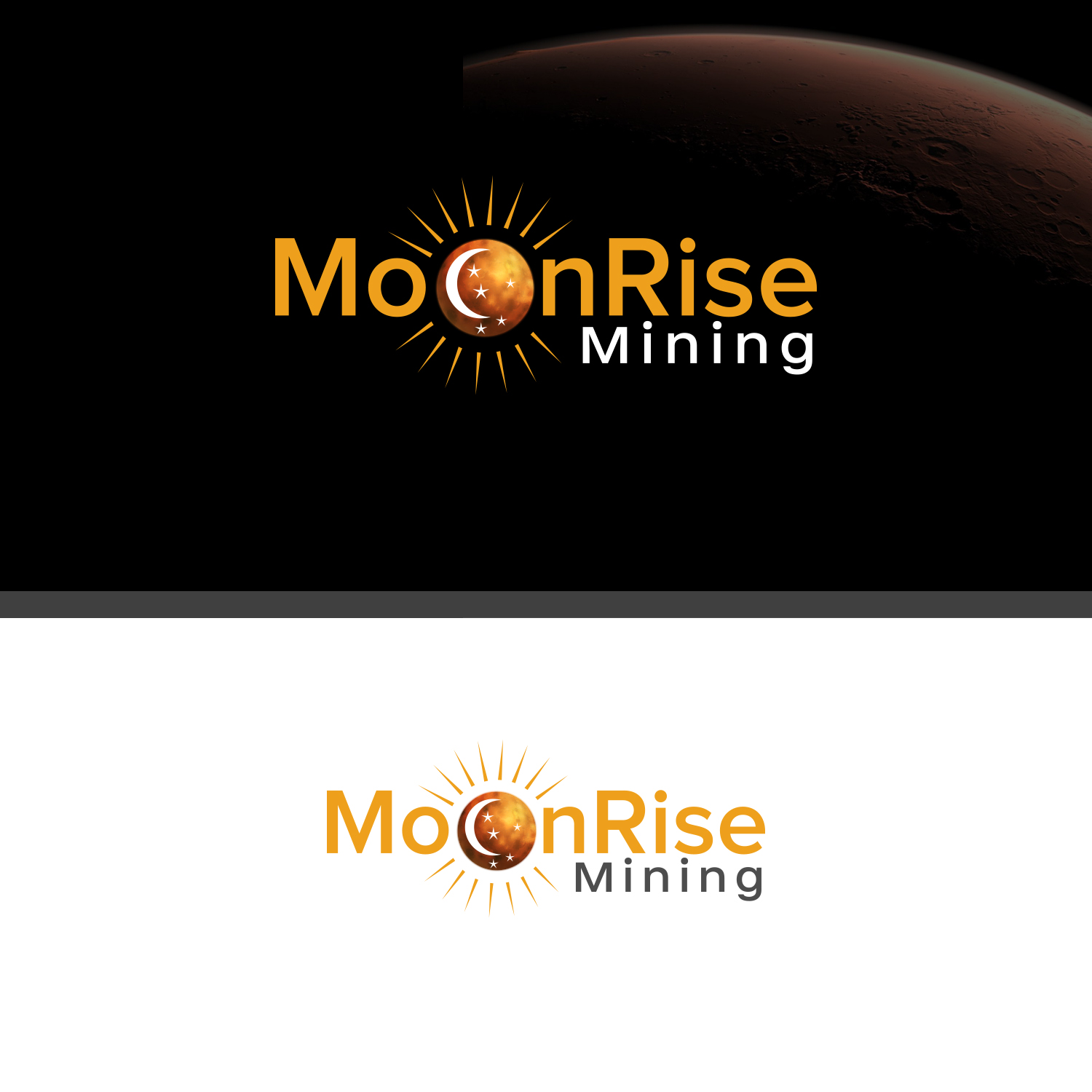 Logo Design by MG.graphics for National Space Society | Design #23194034