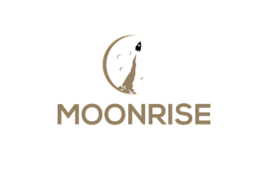 Logo Design by ivo_i_ivanov for National Space Society | Design: #23198327