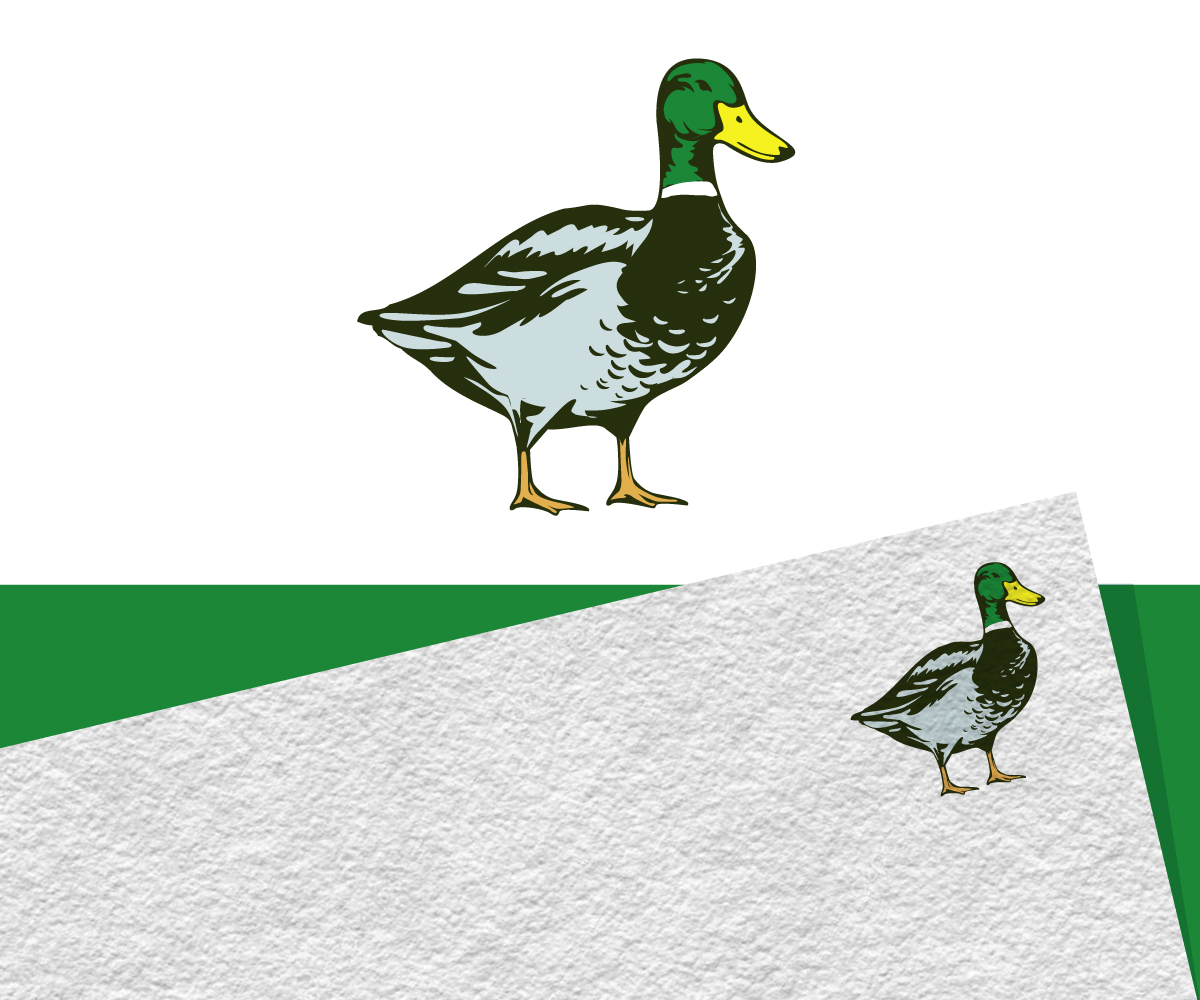 Illustration-Design von Jay Design für dieses Projekt | Design: #23191191