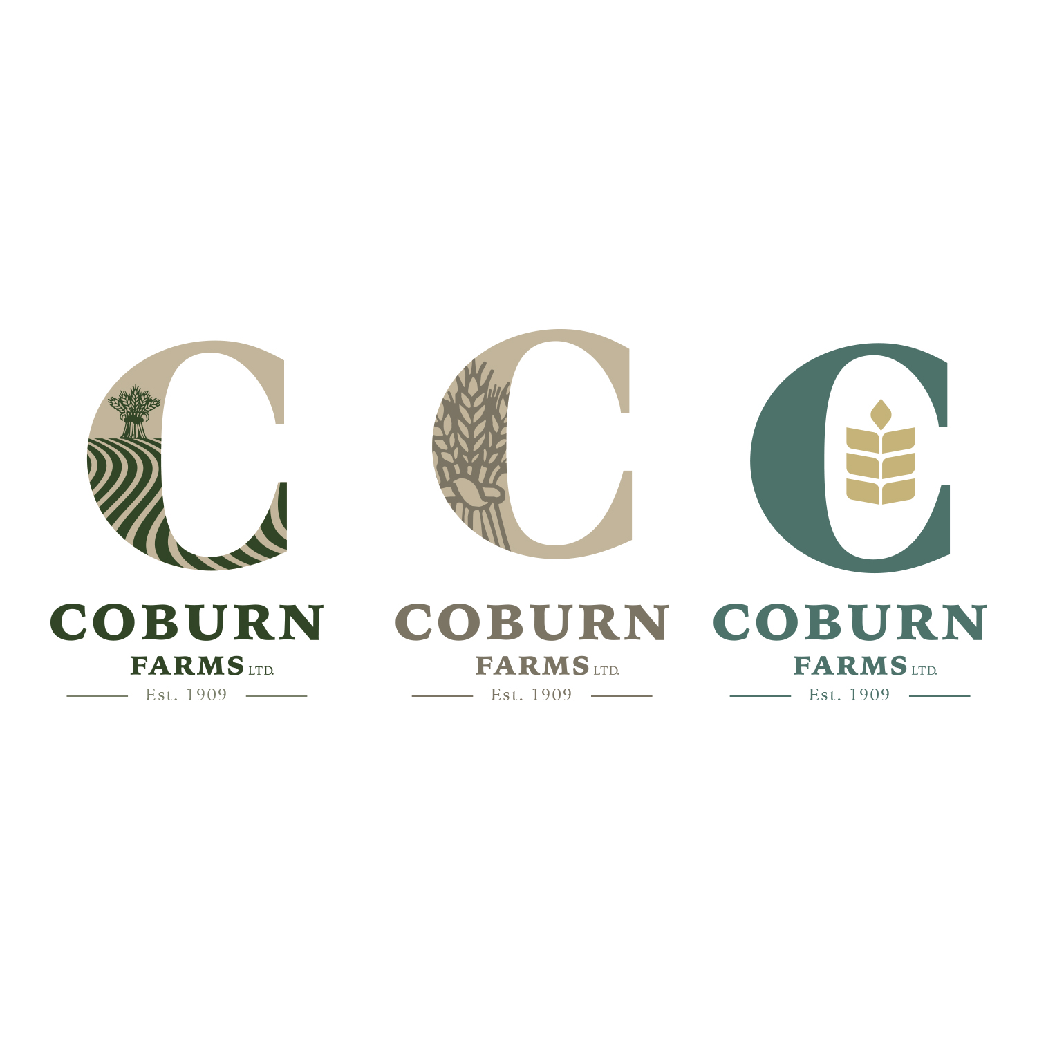 Logo Design by rls for this project | Design #23267347