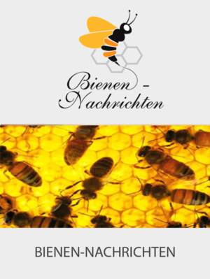 Diseño de Logo por Wonderful design para Niels Gründel | Diseño: #23212880