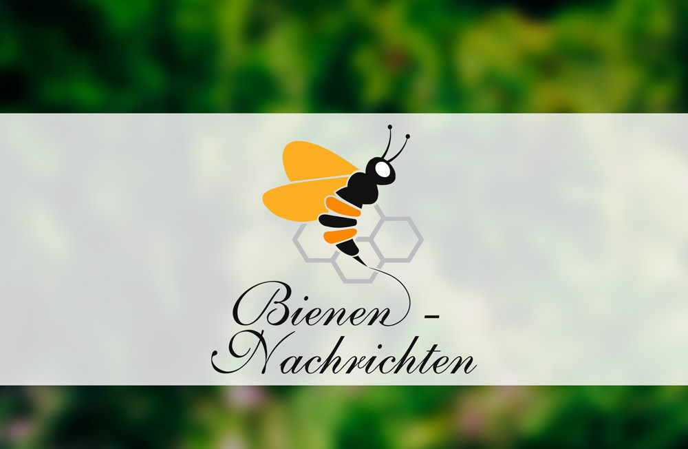 Logo Design by Wonderful design for Niels Gründel | Design #23212881