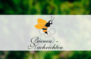 Diseño de Logo por Wonderful design para Niels Gründel | Diseño: #23212881