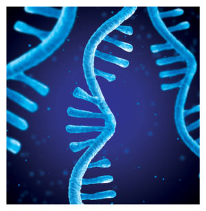 Graphic Design by Navisol Creatives for Eclipse Bioinnovations | Design #23196794