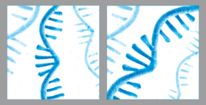 RNA sequence design | Grafik-Design von Navisol Creatives