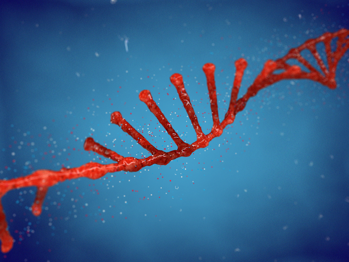 Graphic Design by Candle Light Designs for Eclipse Bioinnovations | Design #23203684