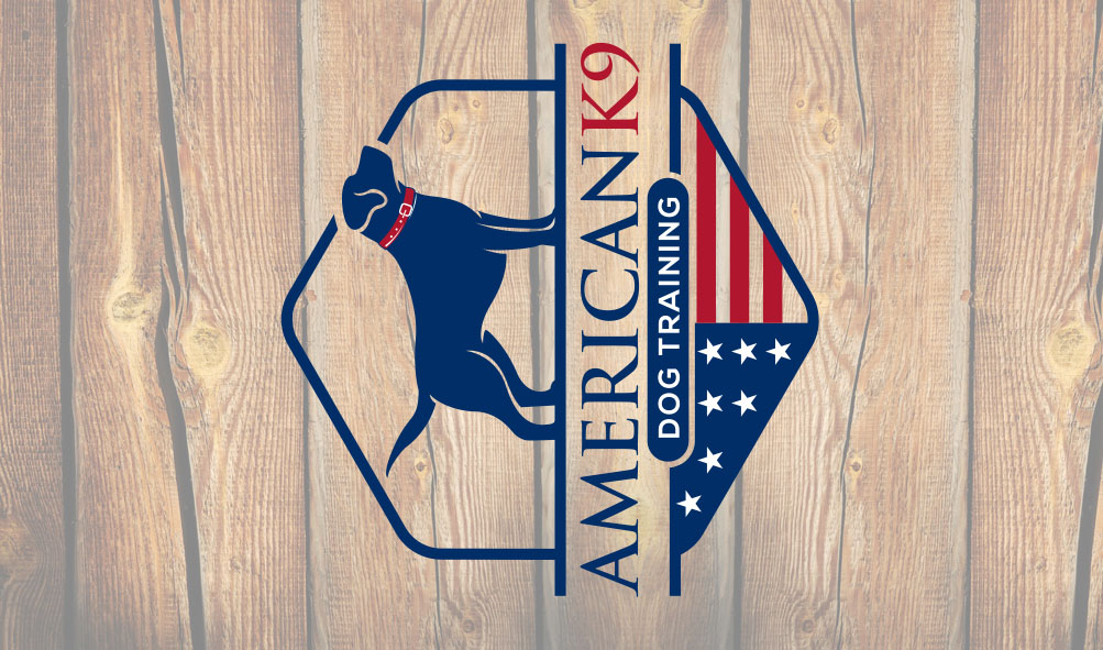 Business Card Design by Upstate Design Studio for this project | Design #23194967