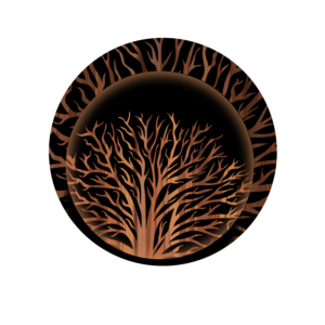 Logo Design by midas for this project | Design: #23242499