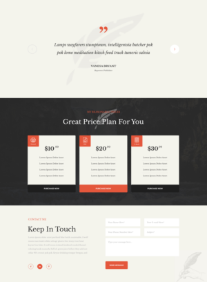 Web Design by ButtonCreative for Ryan Education Consulting LLC | Design #23207705